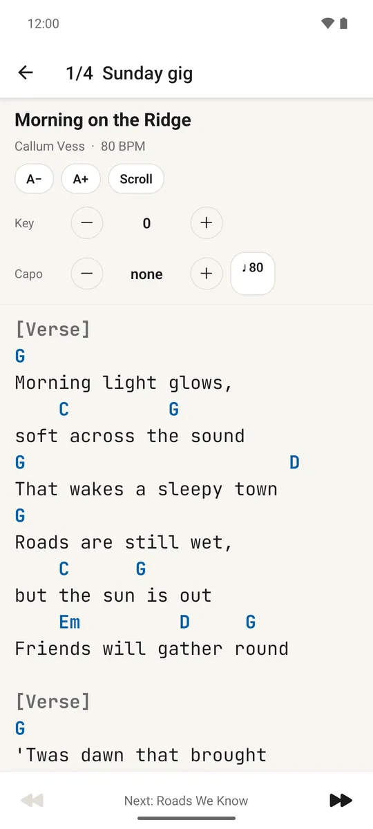 Perform mode showing a song full-screen with previous and next controls