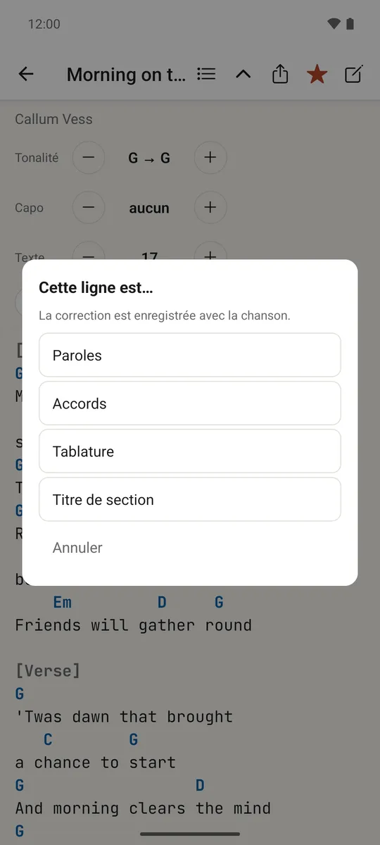 Le menu par appui long pour corriger si une ligne est des paroles, des accords, une tablature ou un titre