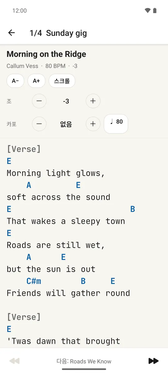이전과 다음 컨트롤이 있는 전체 화면 노래를 보여주는 공연 모드