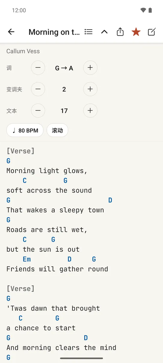 歌曲顶部调和变调夹步进器的特写
